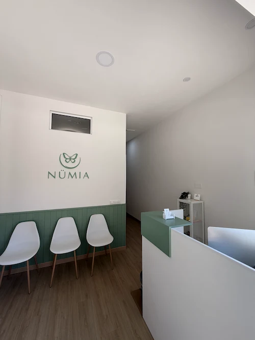 Recepción del centro Nümia